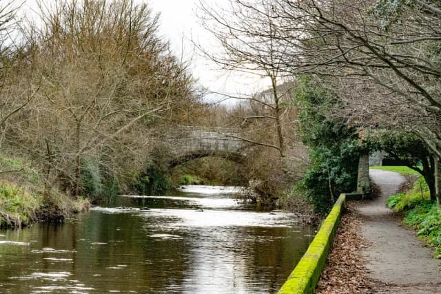 The River Dodder flowing beneath a stone footbridge, lined with bare winter trees, on the Clonskeagh to Milltown stretch in Dublin, Ireland.