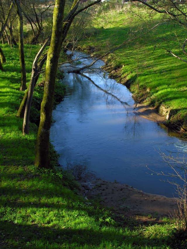 Río Sar — Rio Sar Pontepedrina Santiago Galicia 070310 2