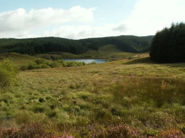 Llyn Dwfn seen across open moorland, a small lake ringed by conifer plantation in the Cambrian Mountains above Talybont.