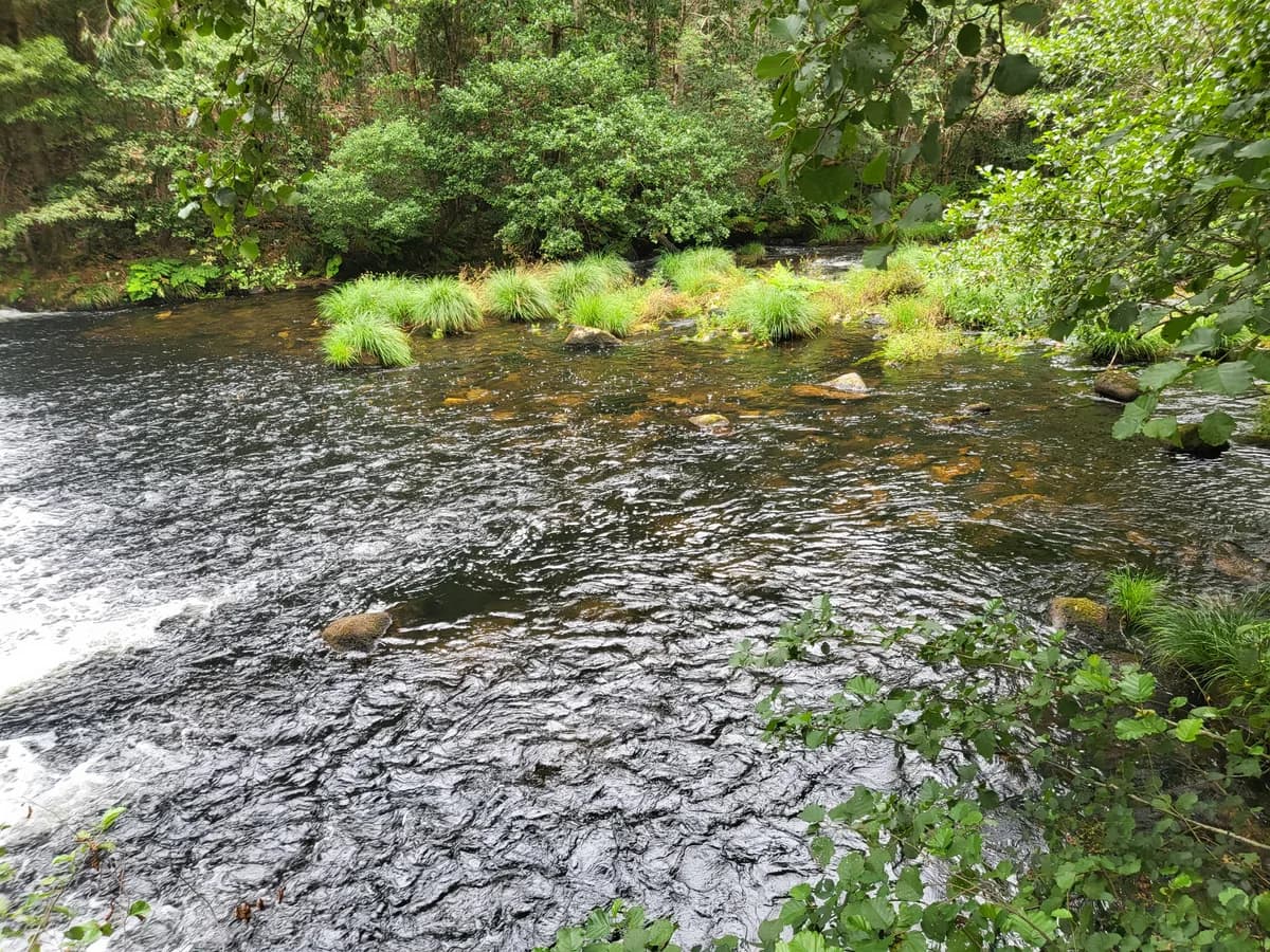 Río Landro — Rio Landro 00