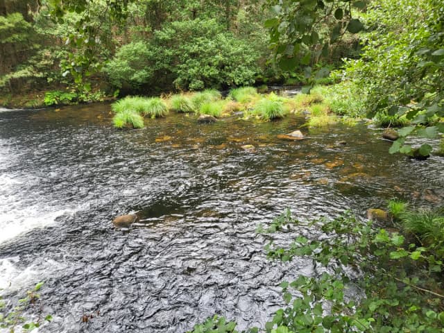 Río Landro — Rio Landro 00