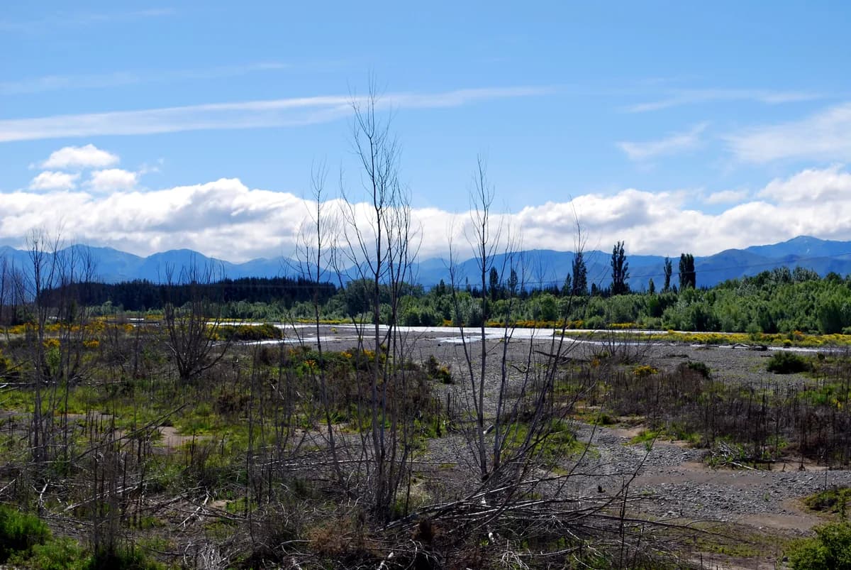 The braided Hurunui River channel crossing the Canterbury Plains with the Southern Alps foothills behind