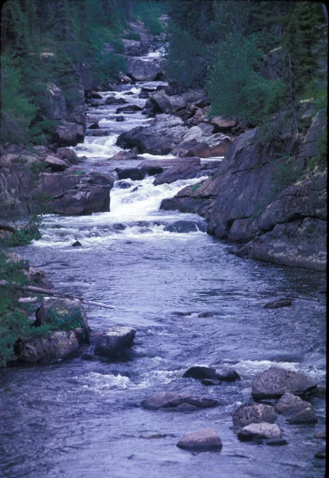 Miramichi (Southwest) — North Pole Stream, a tributary of the Southwest Miramichi