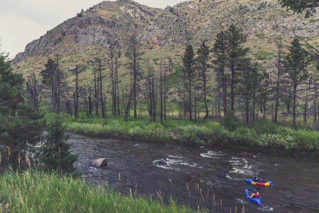 The Cache la Poudre River flowing through a rocky canyon lined with pines below the Colorado Front Range, with two rafters on the water.