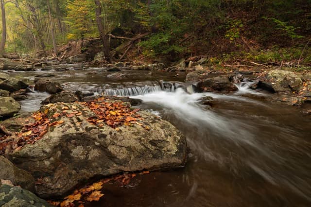 A rocky mountain stream tumbling over boulders through autumn forest on Big Hunting Creek, Maryland.