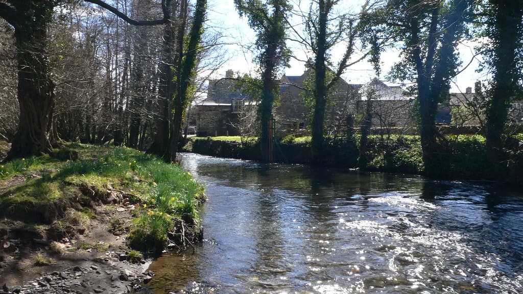 A small, clear West Country river flanked by trees and daffodils, with a stone farmhouse visible beyond the bank.