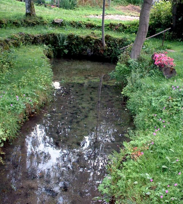 Wiesent — SourceWiesentSteinfeld