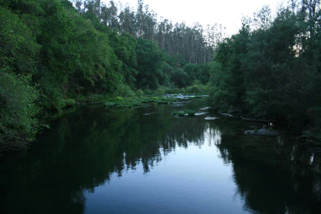 Río Verdugo — Cruce de ríos