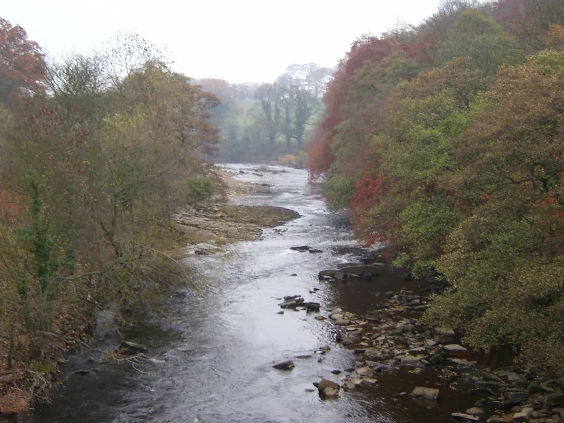 Photo of River Swale