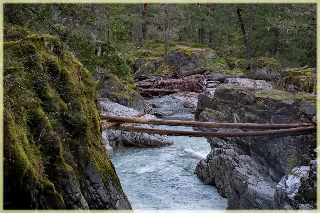 Englishman River — a bridge for the brave