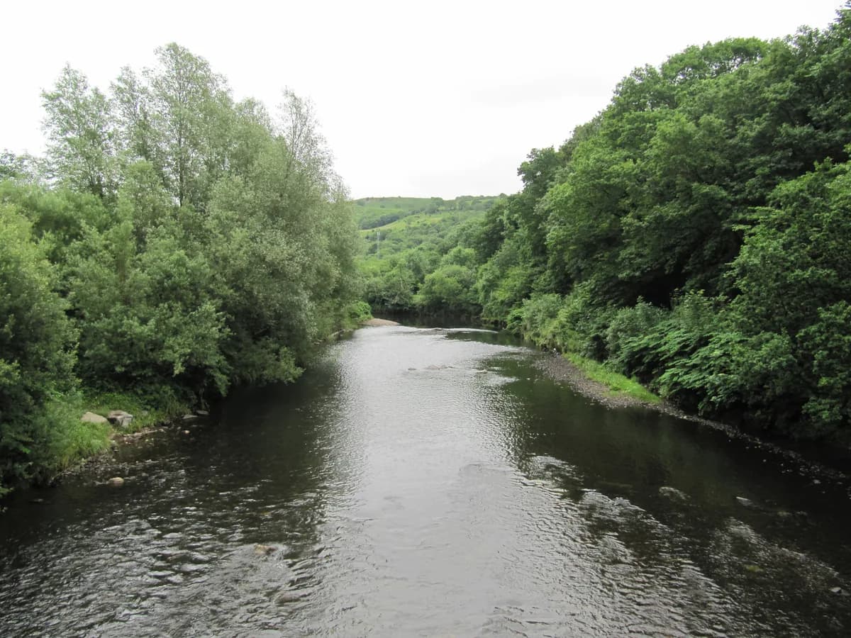 The River Neath flowing through a wooded valley near the Ynysbwllog Aqueduct, South Wales.
