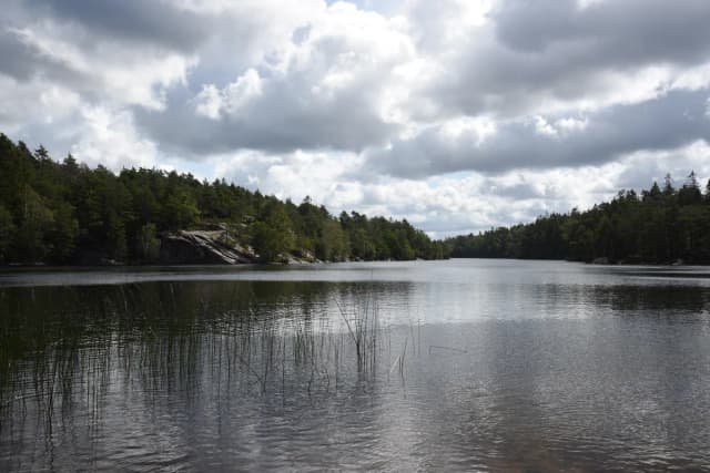Wide view across the still water of Norra Långevattnet lake near Gothenburg, Sweden, framed by pine forest and rocky shoreline