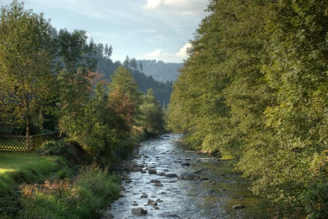 Gutach — River in the Black Forest