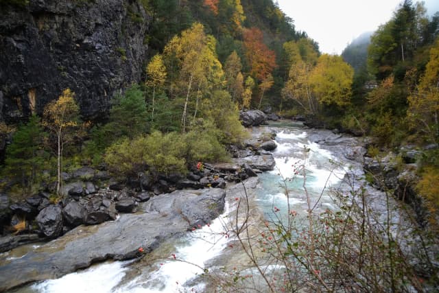 The Ara River rushing through a rocky gorge lined with autumn-coloured trees in the Aragonese Pyrenees, Huesca.