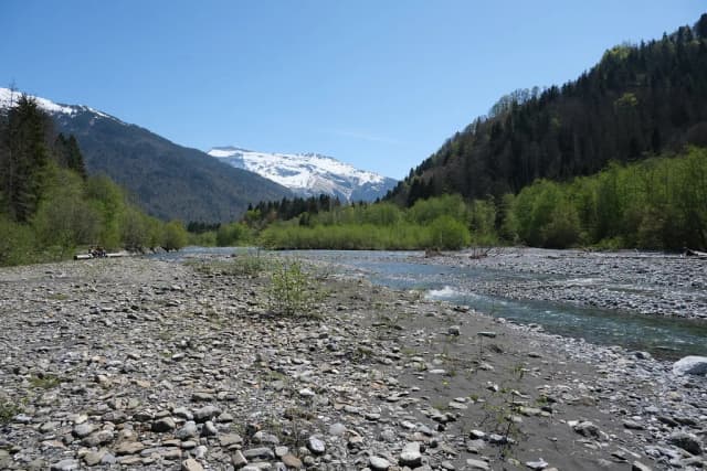 A wide, stony braided river channel with turquoise water flowing past forested slopes and snow-covered Alpine peaks near Samoëns, France.