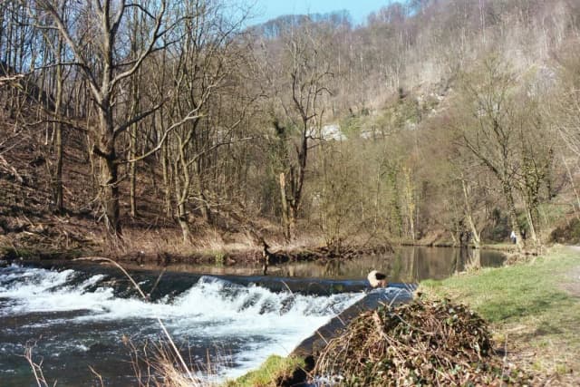 A stone weir crossing the River Wye in wooded Monsal Dale, Derbyshire, with a footpath along the near bank