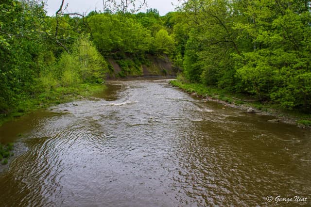A tree-lined stretch of Elk Creek with riffling current over gravel, Erie County, Pennsylvania.