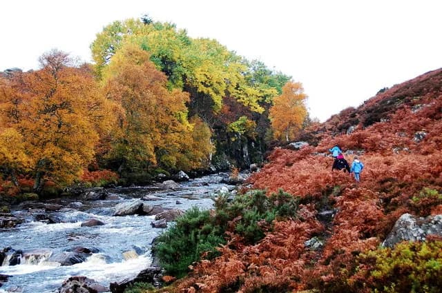 Photo of River Brora