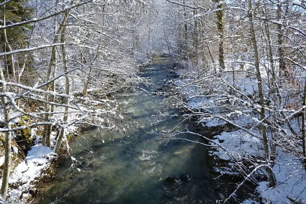 A clear forest stream, the Usses river, flowing over rocks between snow-covered trees near Cruseilles, Haute-Savoie, France.