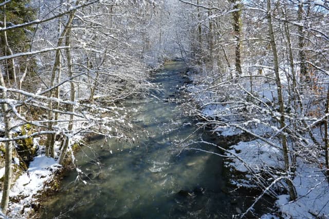 A clear forest stream, the Usses river, flowing over rocks between snow-covered trees near Cruseilles, Haute-Savoie, France.