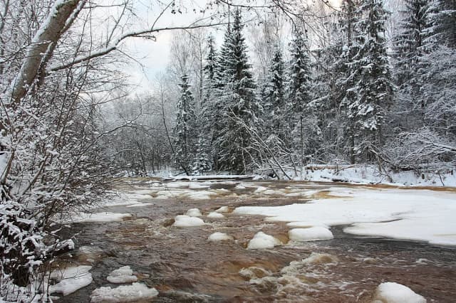Amata — File:River Amata wint LV (8332012471).jpg