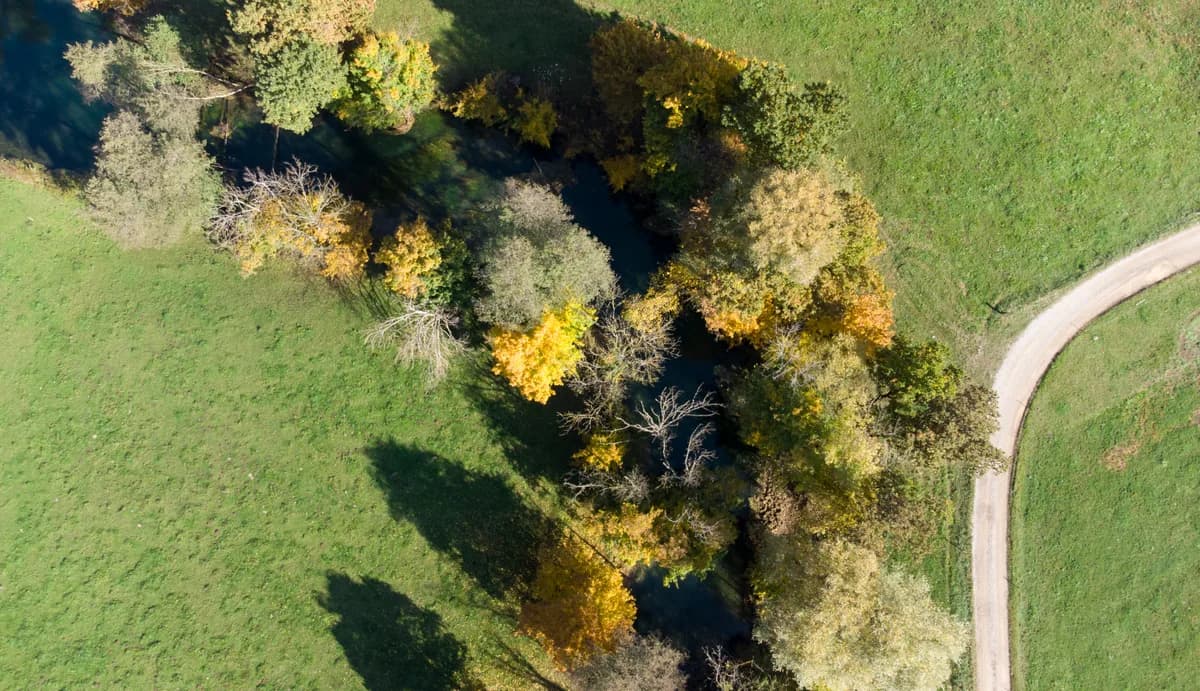 Bistra — Bistra river - aerial