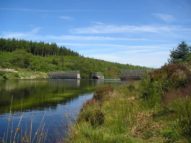 A calm forest-fringed reservoir under blue sky, with a weir structure crossing the water and pine-covered hills reflected on the surface.