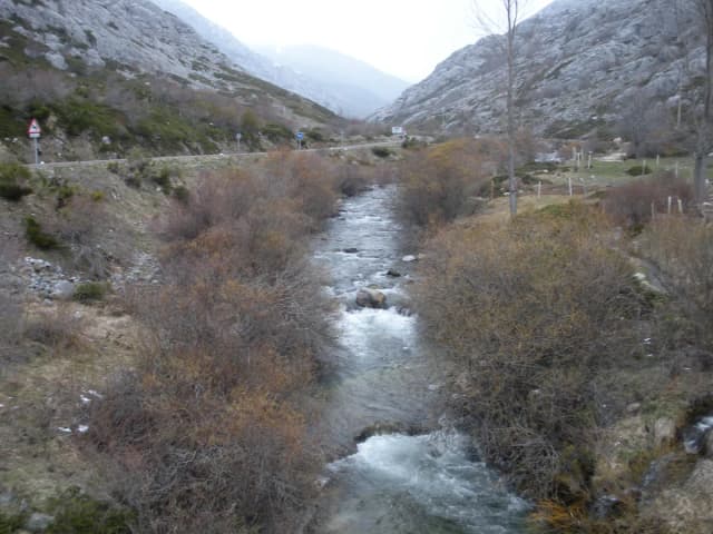 Río Cardaño — Río Cardaño