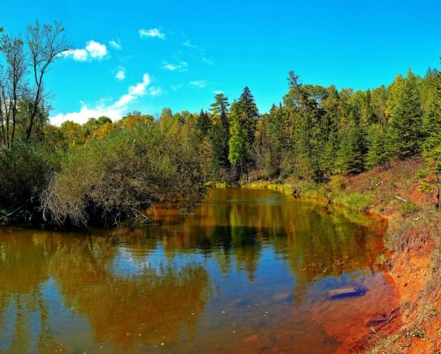 The Bois Brule River, a tea-colored, clear stream flanked by boreal forest and a red-clay bank in Wisconsin.