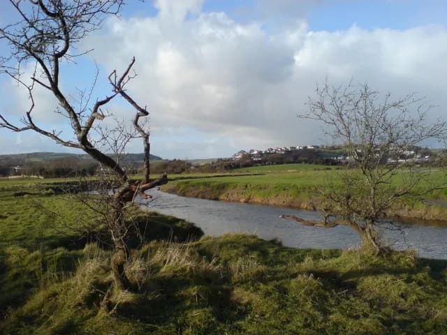 The River Loughor meandering through a grassy flood plain near Pontarddulais, Wales