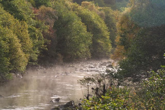 Misty river with a rocky bed flowing through autumn woodland at dawn.
