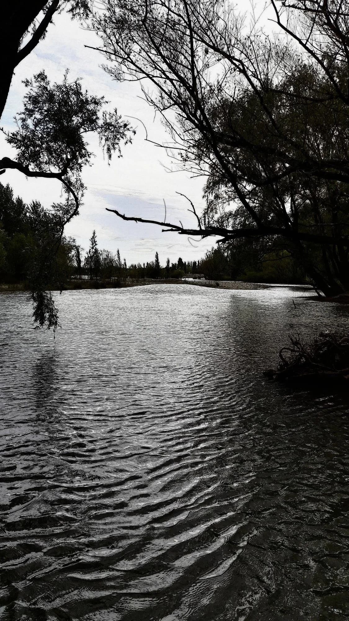 Río Limay — Lower / Arroyito to Neuquén confluence — Río Limay Neuquen