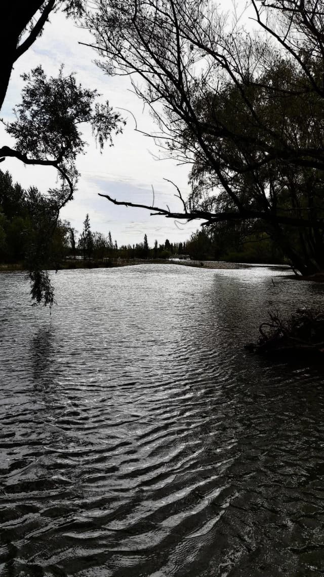Río Limay — Lower / Arroyito to Neuquén confluence — Río Limay Neuquen