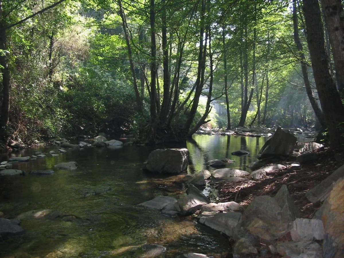 Tordera — Montseny - Rio Tordera