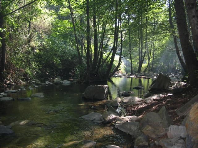 Tordera — Montseny - Rio Tordera