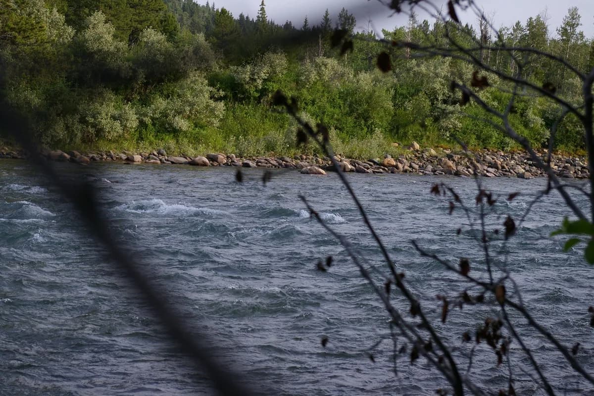 Fast-moving whitewater on the Castle River, rocky far bank and forested hillside in the background, Alberta