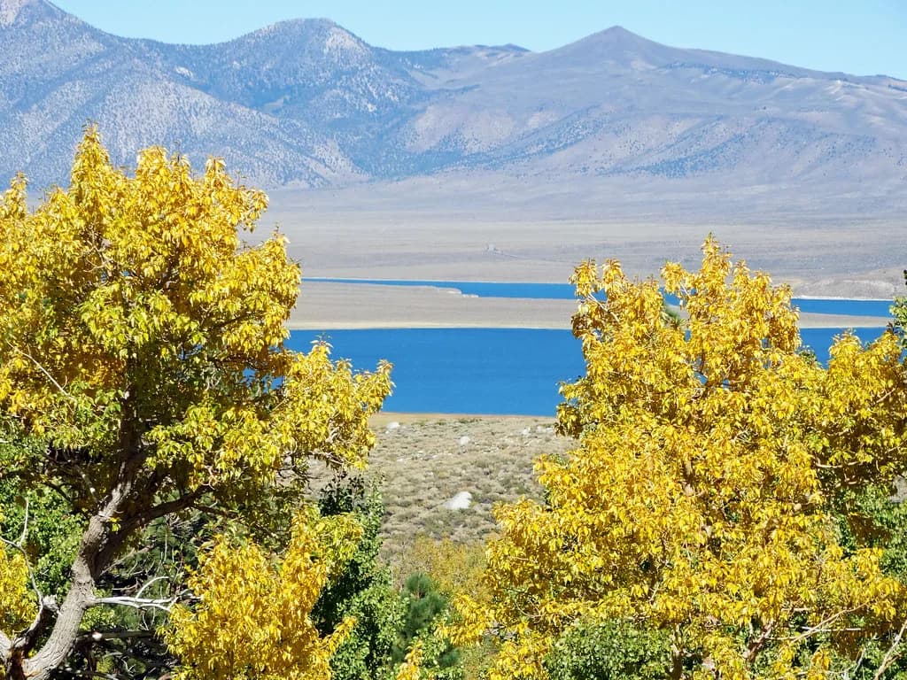 Crowley Lake — McKee Creek View, Crowley Lake, Sierra Nevada 9-17