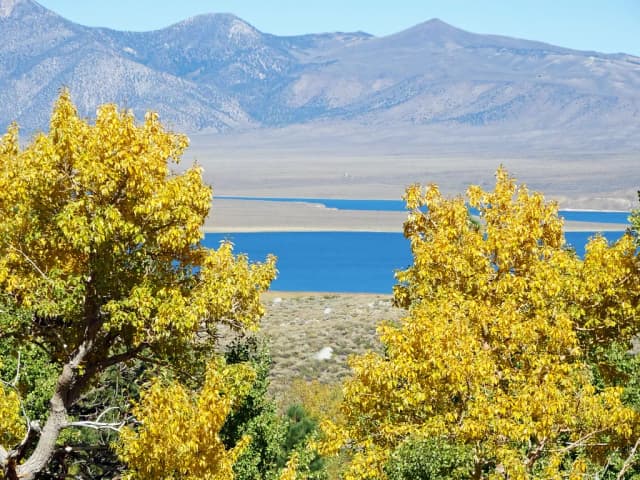 Crowley Lake — McKee Creek View, Crowley Lake, Sierra Nevada 9-17