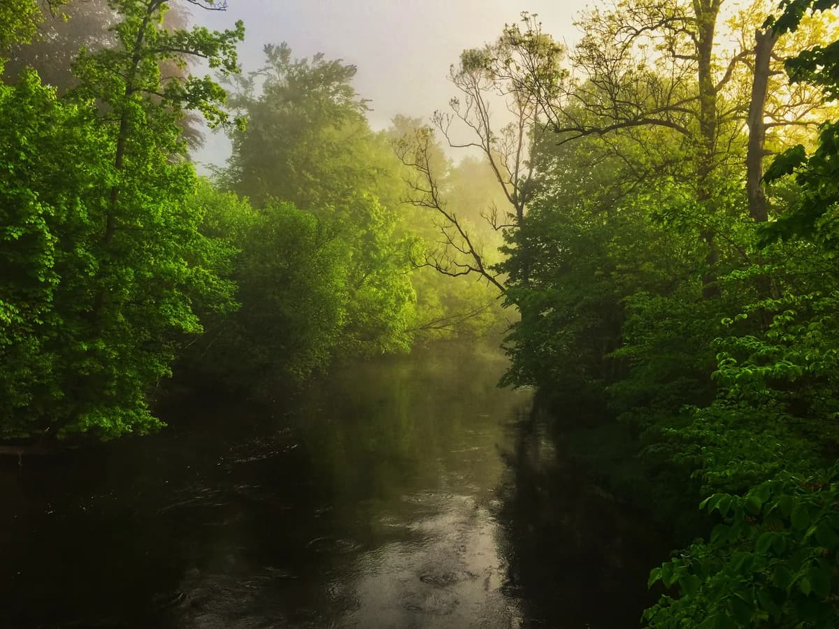 Säveåns Övre — Säveån, Bokedalens naturreservat, Partille, Sverige