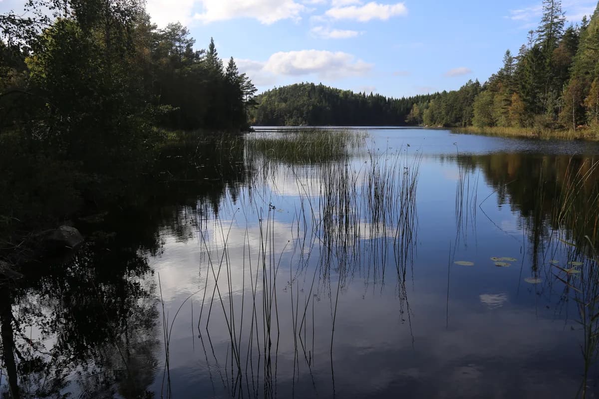 Stora Grötevatten — Stora Grötevatten, a lake in Kungälv Municipality, Sweden