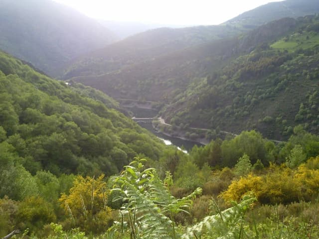 The Río Navia river curving through a steep, forested green valley with a small bridge crossing it, northwest Spain.