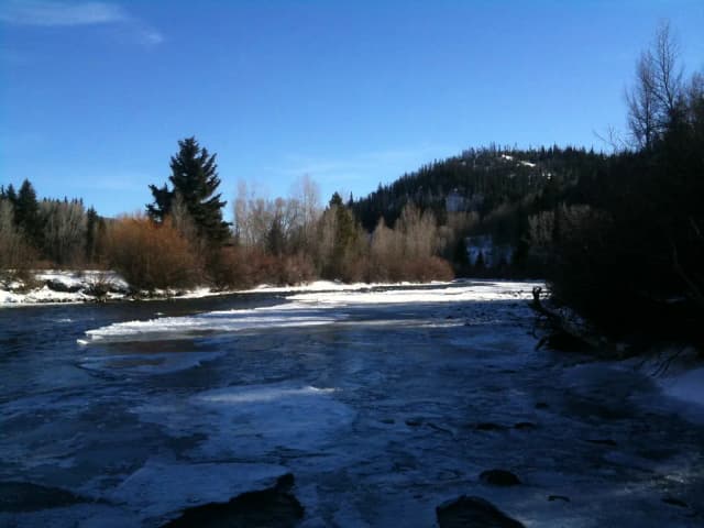 A partly frozen stretch of the Blue River tailwater near Silverthorne, Colorado, with forested mountains behind.