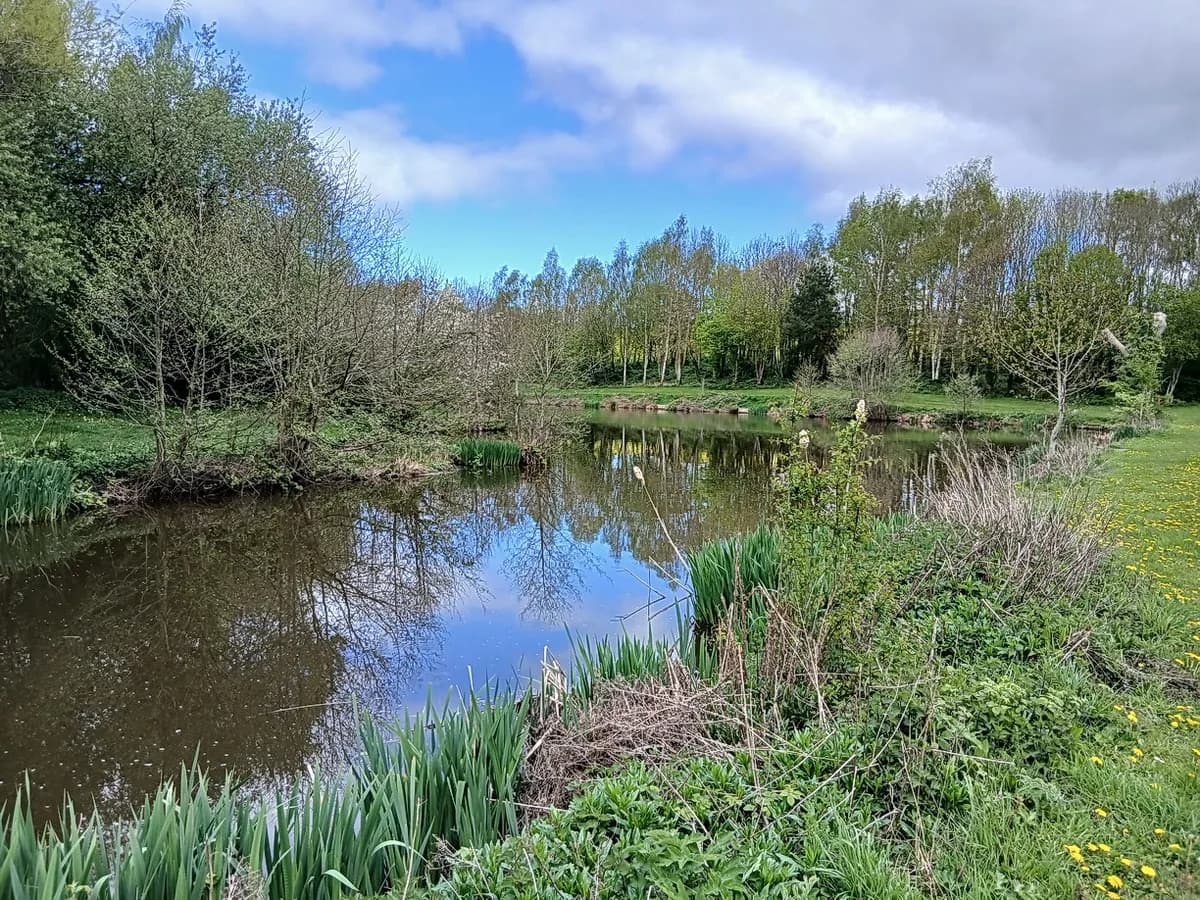 A tree-lined fishing pool at Hurst Farm Holiday Cottages in Shropshire, with still water reflecting the sky