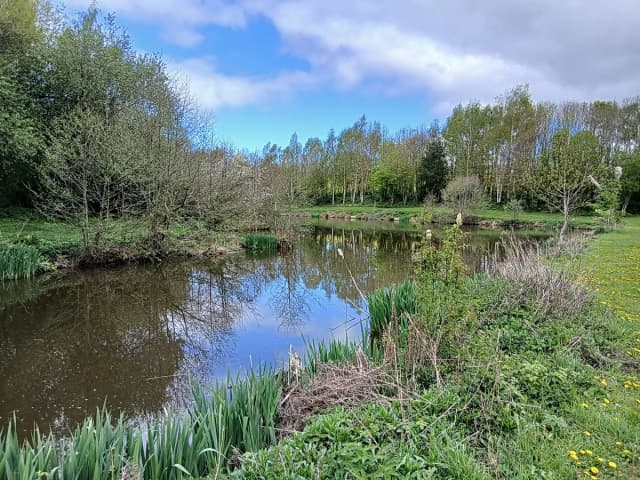 A tree-lined fishing pool at Hurst Farm Holiday Cottages in Shropshire, with still water reflecting the sky