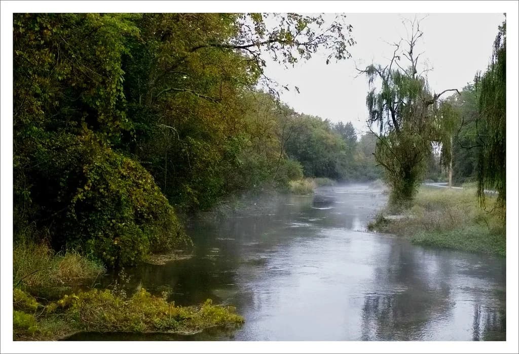 A calm, mist-covered limestone spring creek lined with willows and overhanging trees near Newville, Pennsylvania.