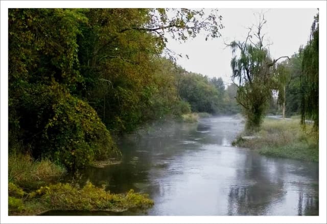 A calm, mist-covered limestone spring creek lined with willows and overhanging trees near Newville, Pennsylvania.