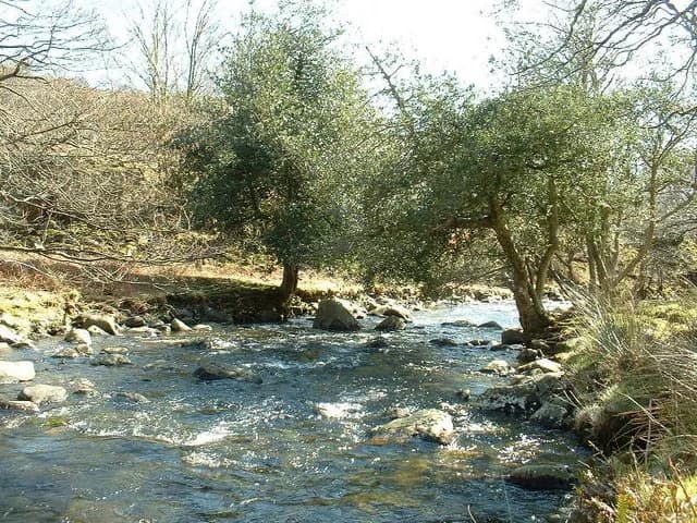 The Afon Artro, a Welsh river, flowing through a valley near Crafnant in Gwynedd