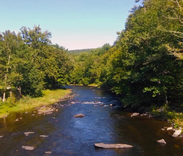 Neversink River — Neversink River at Oakland Valley, NY