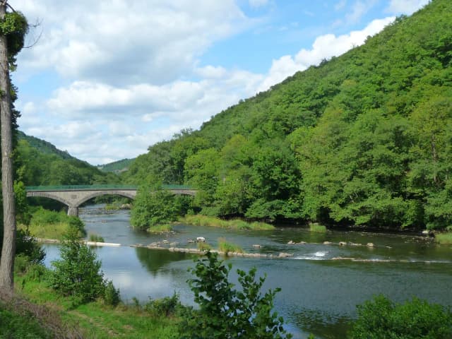 A wooded river gorge with a stone bridge crossing the Sioule river, Puy-de-Dôme, France.