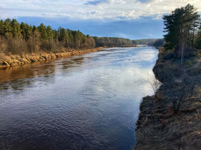 Wide view of the Gauja river flowing past forested banks near Valmiera, Latvia